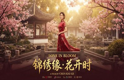 大象传媒精选视频 - 都市情缘